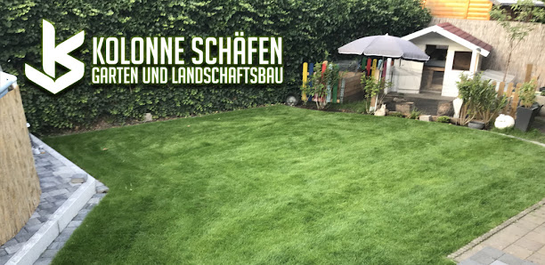 Kolonne Schäfen Garten und Landschaftsbau