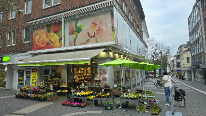 Blumen Risse Blumenladen Gladbeck