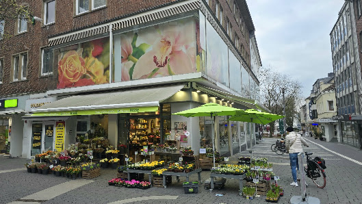 Blumen Risse Blumenladen Gladbeck