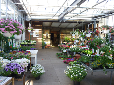 Theodor Nienhaus Blumenhaus & Gartenbau