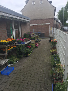 Blumen und Friedhofsgärtnerei Wilken