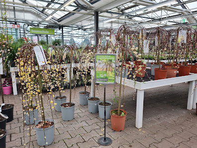 Blumen Risse Gartencenter Lünen