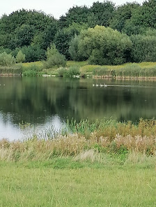 Robert Dellwig Garten- und Landschaftsbau GmbH