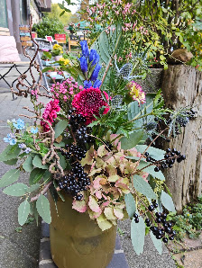 Blumen Hoffmann