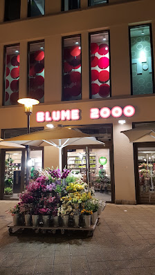 BLUME 2000
