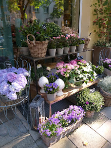 Blumen Rofeld