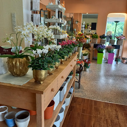 Blumenhaus Sprenger-Decker