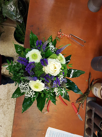 Holland Blumen