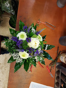 Holland Blumen
