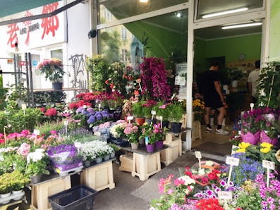 Blumen Haan