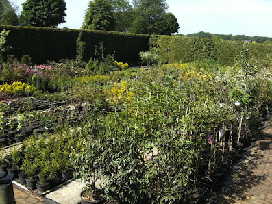 Gartenservice Großblotekamp