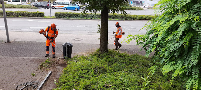 Katx Gartenpflege Dorsten