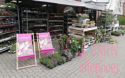Blumen Ottenhues Schotthock