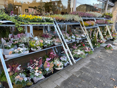 Blumen Kleinberens