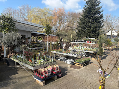 Blumenoase Rheine