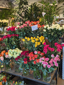 Blumen Anke