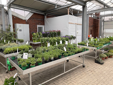 Gärtnerei Gartenbau Hölscher