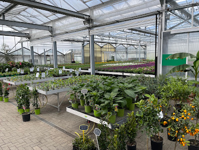 Gärtnerei Gartenbau Hölscher