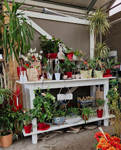 Christa's Blumenoase Floristik und Friedhofsgärtnerei