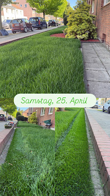 Garten- und Landschaftsbau Bertlich