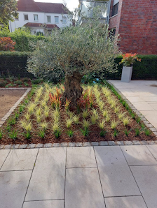 Gartenpflege Anita Stapper