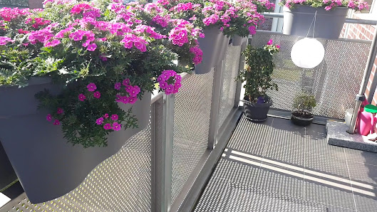 Blumen Strickmann Gärtnerei