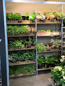 Blume 2000 Lippstadt
