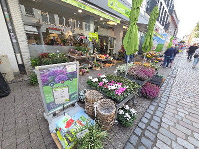 Blumen Risse Blumenladen Unna