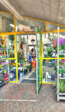 Regina´s Blumenladen & Gartenbau