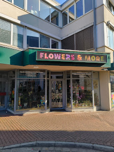 Flowers & More Kleve