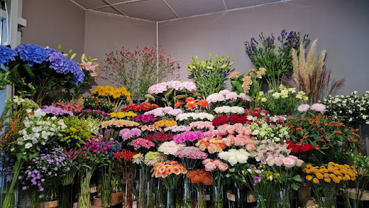 blumen pian flowers