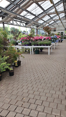 Blumen Risse Gartencenter Frechen