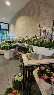 'Blumen Schlitter' im E Center Schroff