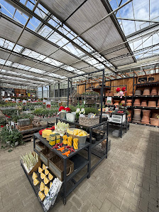 Gartencenter Stassen Inh. Rolf Stassen