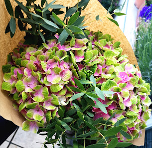 Colflor Blumendesign Inh. Henning Moeller