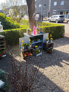 Klatschmohn Wesel