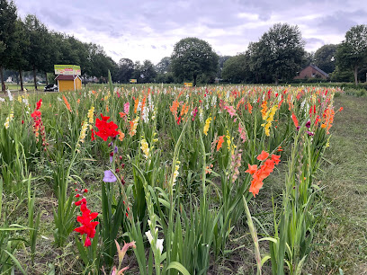 Blumen Selbstpflücke