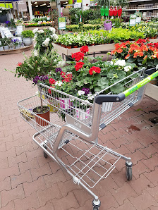 Gartencenter Spiering Wesel