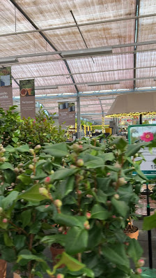 Gartencenter Spiering Wesel