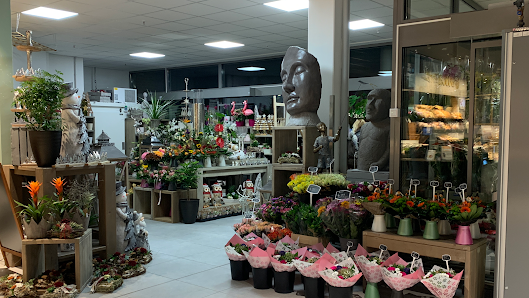 Blumen Spangenberg Wesel