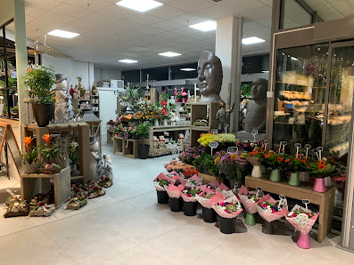 Blumen Spangenberg Wesel