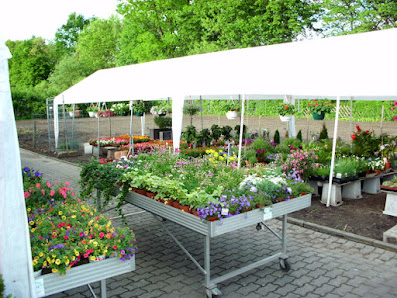 Blumen Barrey