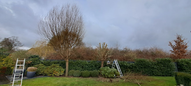 Gartengestaltung Weifels