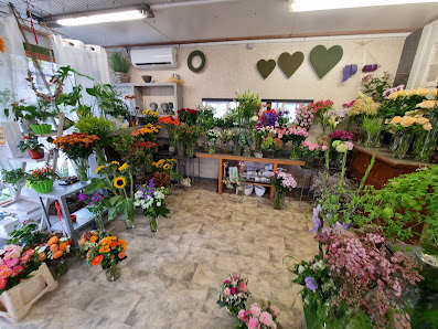 Hoppe der kreative Blumenhof
