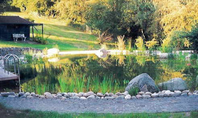 Lohmann Gartenbau