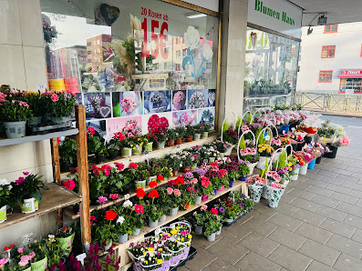 BlumenHaus