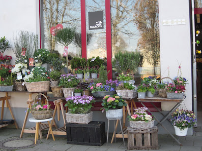 Blumen Blütentraum Inh. U. Meller