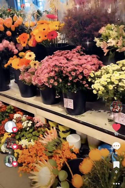 Blumen Gülhan
