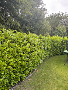 Gartenpflege Welterlich