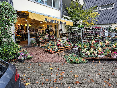 Blumen Ecke Rang inh. Michaela Rang